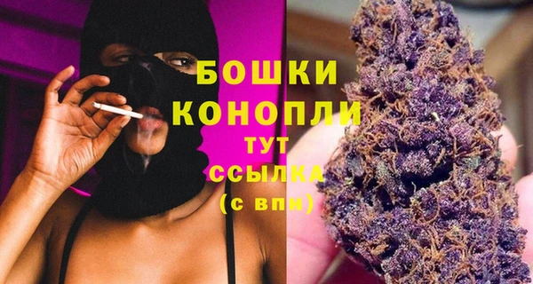 шишки Балахна