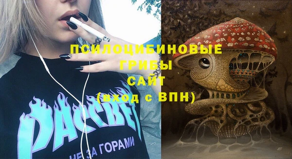 соль ск Балабаново