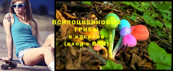 ПСИЛОЦИБИНОВЫЕ ГРИБЫ Пролетарск