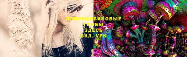 шишки Балахна