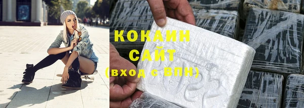 шишки Балахна