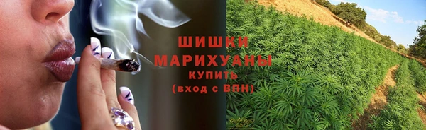 шишки Балахна