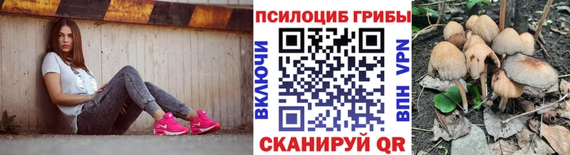 наркошоп  Зима  МЕГА   Галлюциногенные грибы Cubensis 