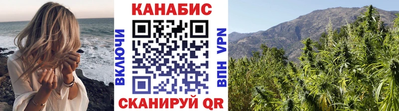 Каннабис индика  закладки  Зима 
